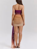 Tube Top Ruched Gradient Print Dropped Panel Strapless Stretch Mini Dress