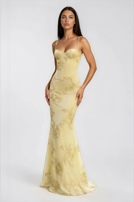Aurohaya Émeline Floral Appliqué Corset Maxi Dress