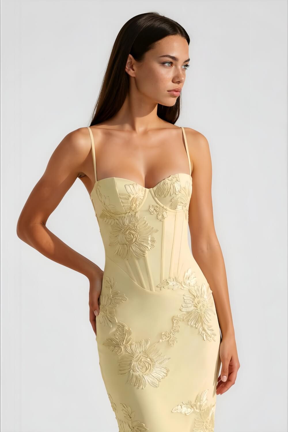 Aurohaya Émeline Floral Appliqué Corset Maxi Dress