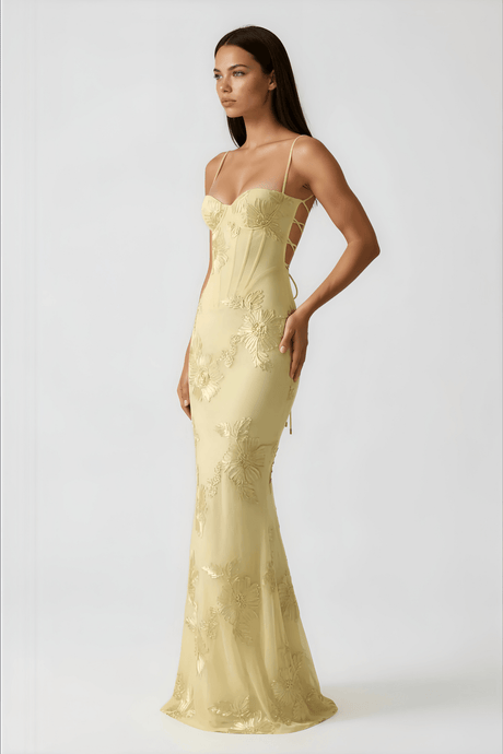 Aurohaya Émeline Floral Appliqué Corset Maxi Dress