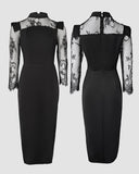 High Neck Long Sleeve Lace Pattern Mesh Patchwork Chic Zipper Mid-Calf Dress