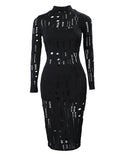 Mock Neck Long Sleeve Hollow Out Bodycon Dress Sexy Party Dress