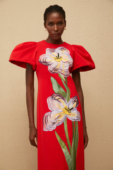 Aurohaya Irène Red Sequined Floral Embroidered Midi Dress