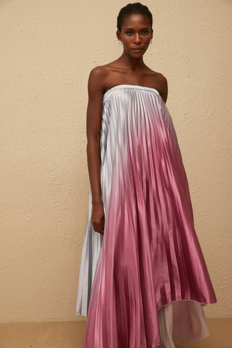 Aurohaya Irini Pink Gradient Pleated Maxi Dress