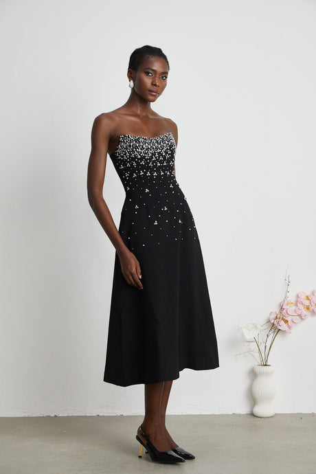 Aurohaya Melisande black embellished midi dress