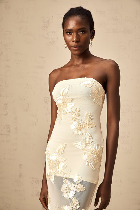 Aurohaya Melanie neutrals embroidered off-shoulder maxi dress
