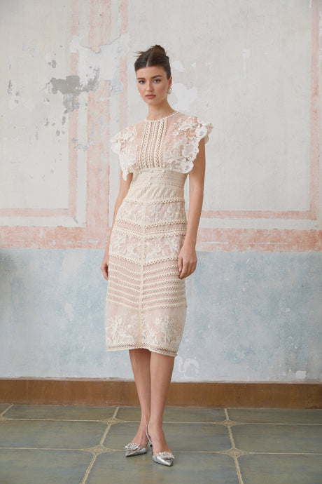 Aurohaya Fleur floral-embroidered lace midi dress in Neutrals