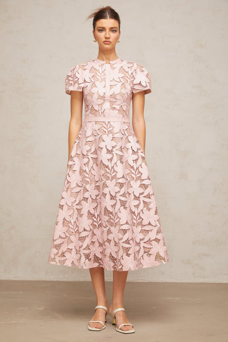 Aurohaya Vérane pink guipure-lace midi dress