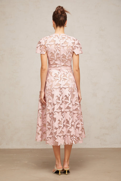 Aurohaya Vérane pink guipure-lace midi dress