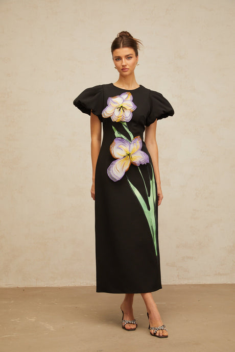 Aurohaya Irène sequined floral-embroidered midi dress in Black