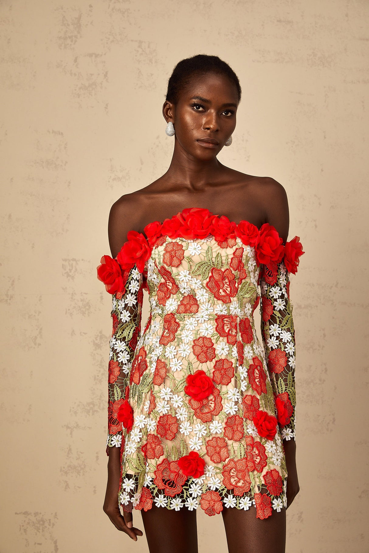 Aurohaya Anaya Red Rose Appliqué Embroidered Mini Dress