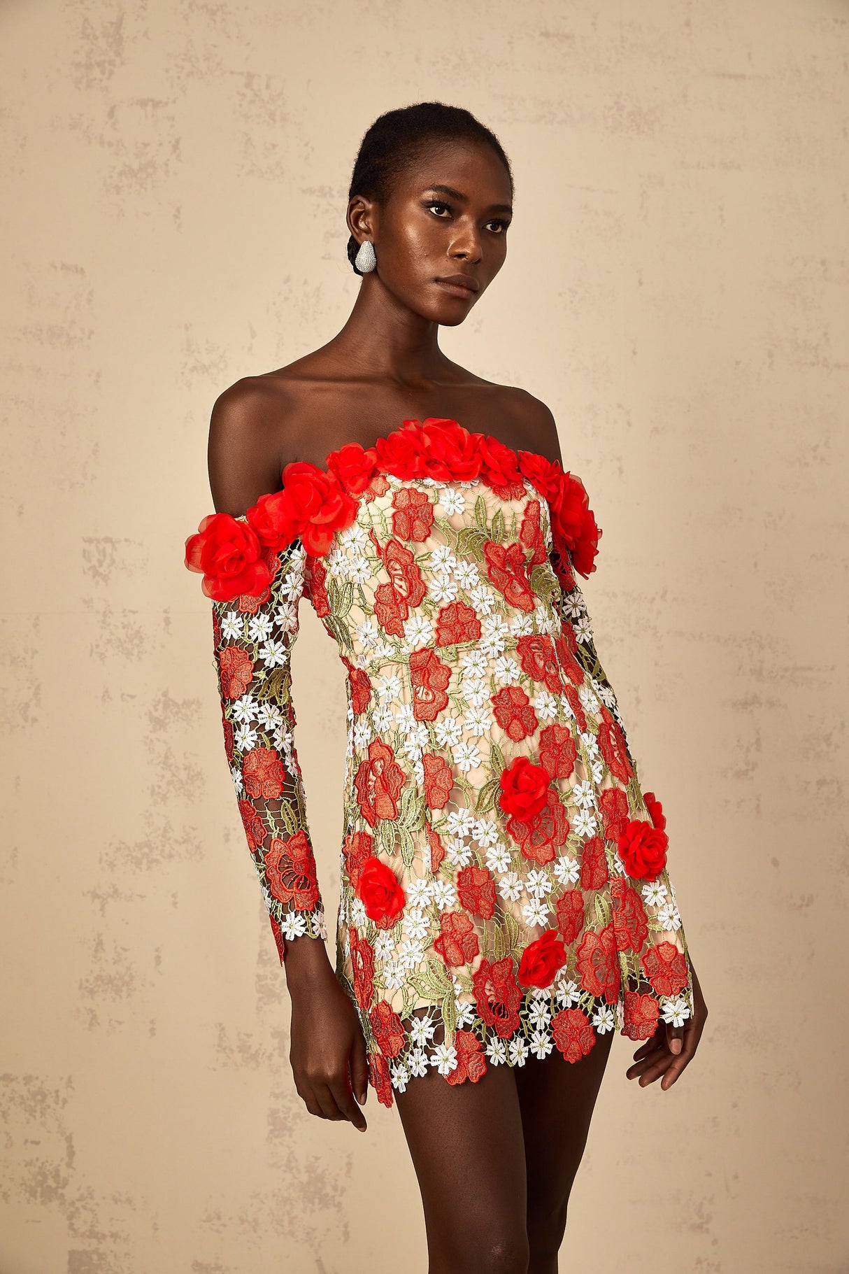 Aurohaya Anaya Red Rose Appliqué Embroidered Mini Dress
