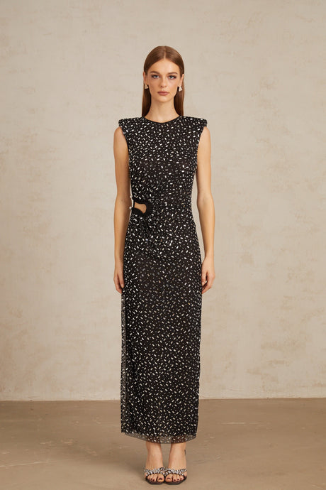 Aurohaya Félicie Black Embellished Mesh Maxi Gown