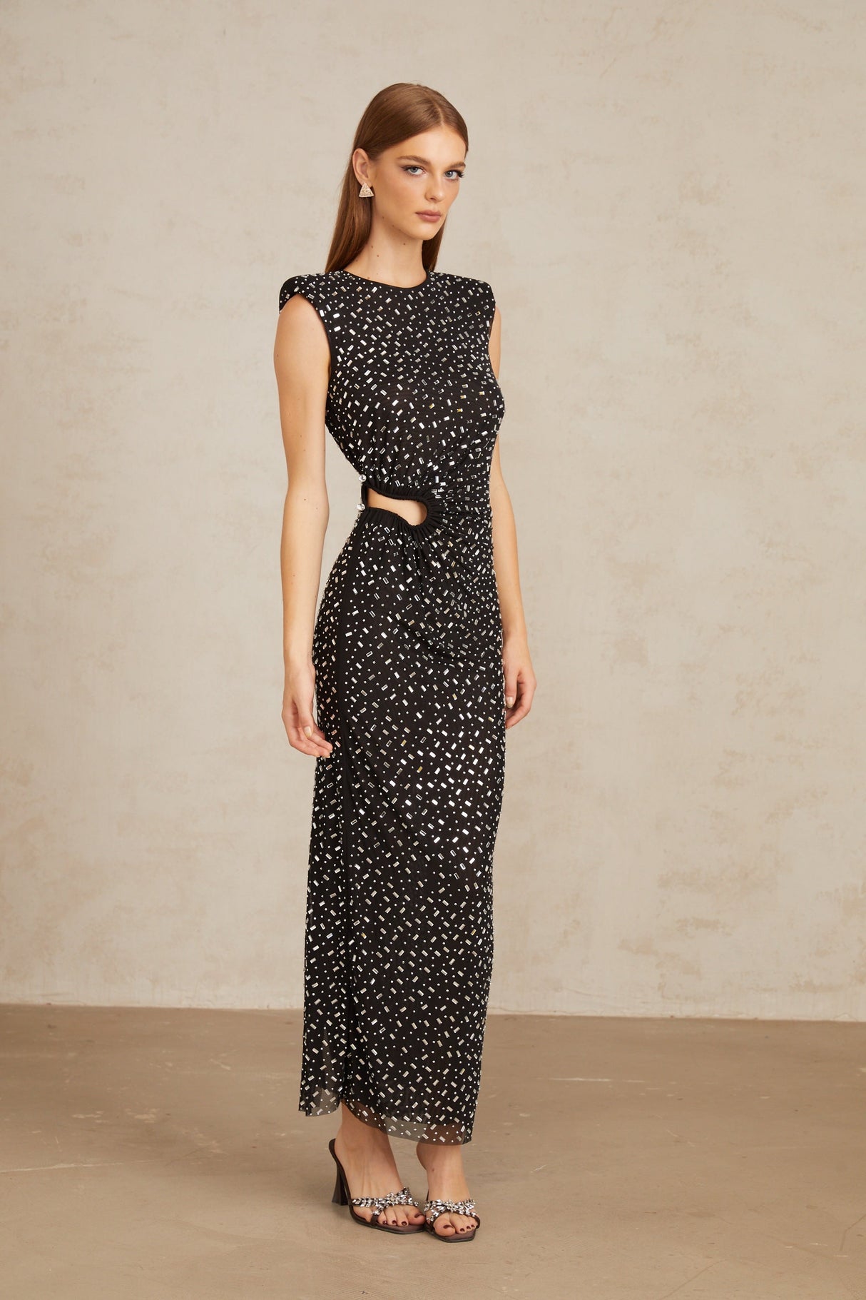 Aurohaya Félicie Black Embellished Mesh Maxi Gown
