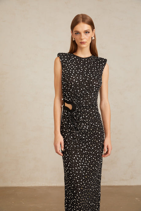 Aurohaya Félicie Black Embellished Mesh Maxi Gown