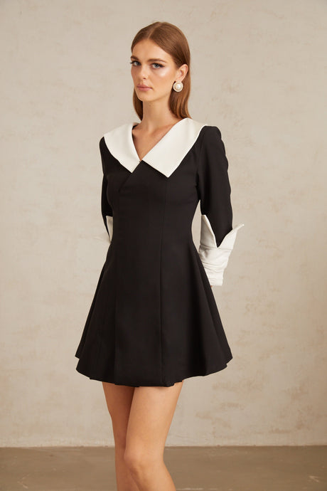 Aurohaya Carine Color Block Flared Mini Dress