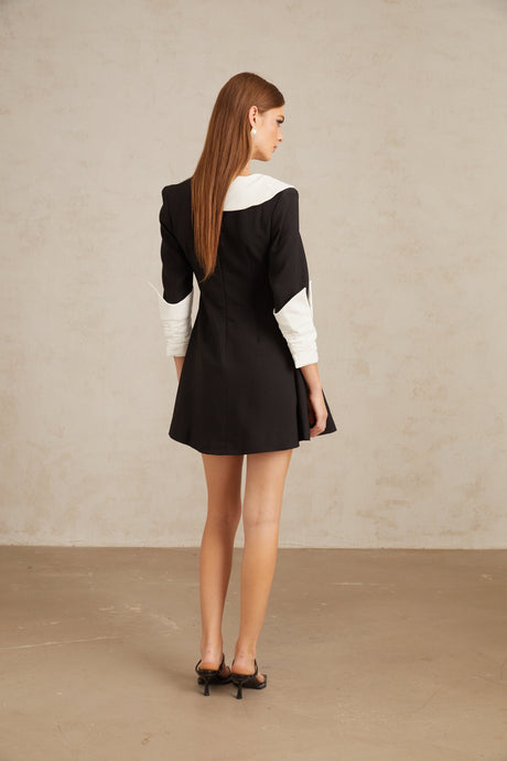 Aurohaya Carine Color Block Flared Mini Dress