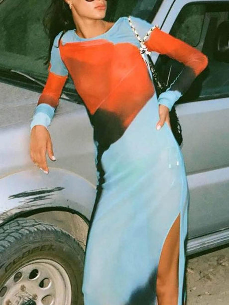 Aurohaya Mesh Floral Print Round Neck Long Sleeve Stretch Maxi Dress