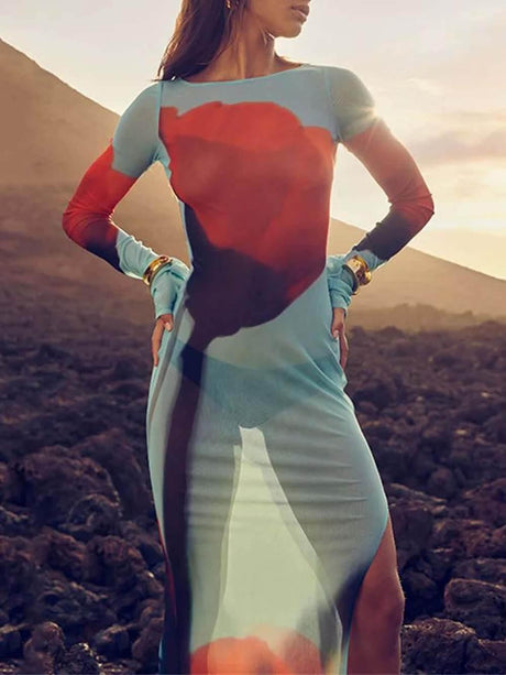 Aurohaya Mesh Floral Print Round Neck Long Sleeve Stretch Maxi Dress