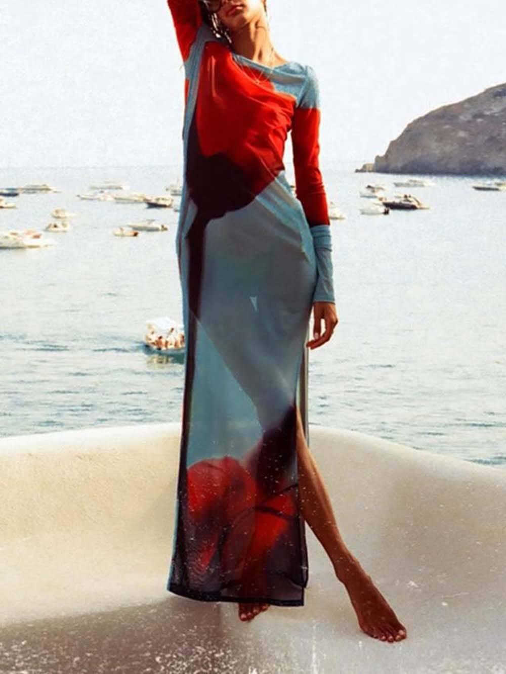 Aurohaya Mesh Floral Print Round Neck Long Sleeve Stretch Maxi Dress
