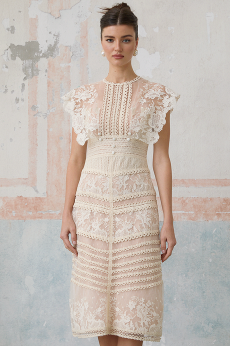 Aurohaya Fleur floral-embroidered lace midi dress in Neutrals
