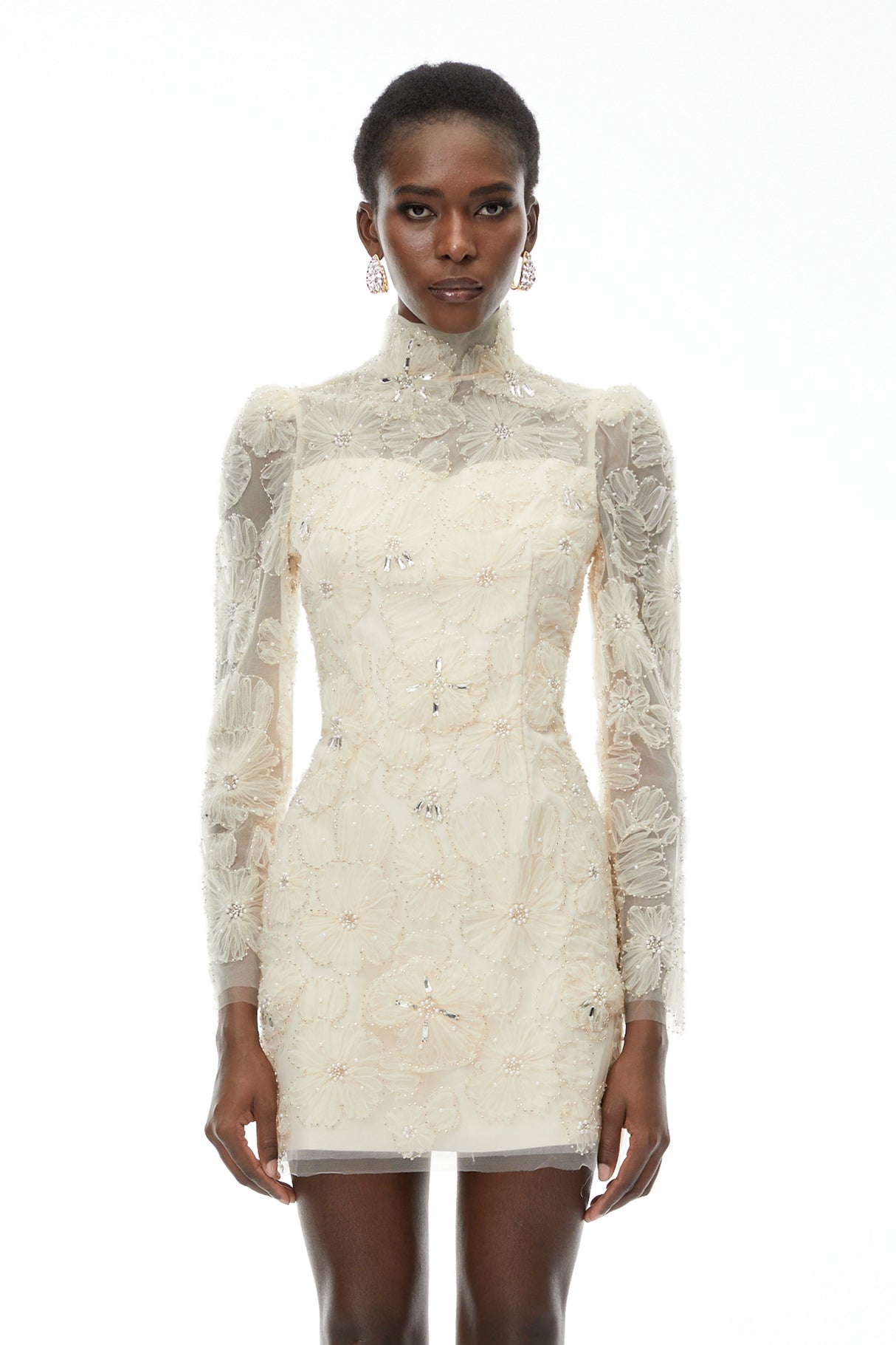 Aurohaya Aurélie Neutral Lace Embroidered Mini Dress