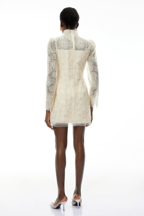 Aurohaya Aurélie Neutral Lace Embroidered Mini Dress