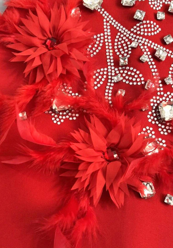 Crystal Feather Dress Red