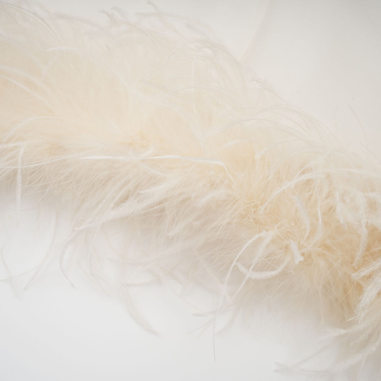 Aurohaya Adrienne White Feather Trim Mini Dress