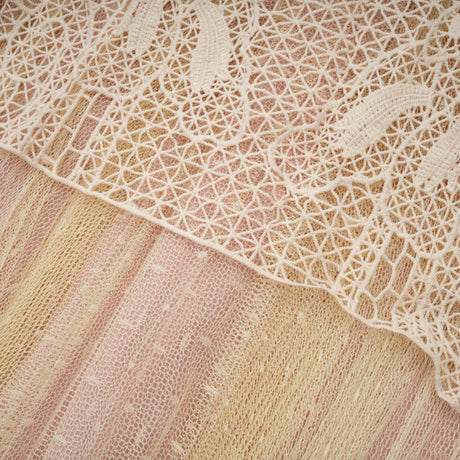 Aurohaya Céleste floral-lace-panelling tulle midi dress in Neutrals