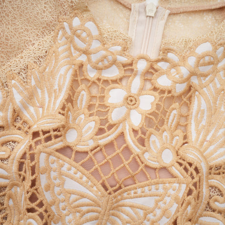 Aurohaya Nerissa embroidered pleated midi dress