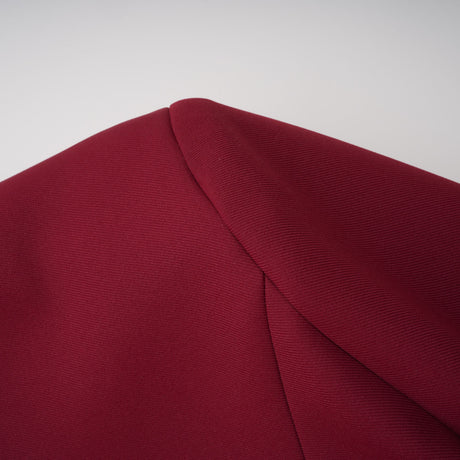 Aurohaya Valeria Burgundy Stand Collar Long Sleeve Mini Dress