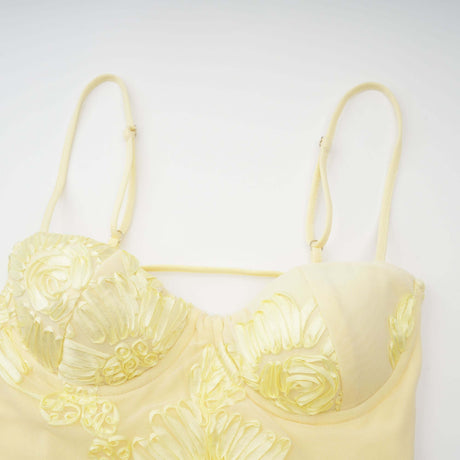 Aurohaya Émeline Floral Appliqué Corset Maxi Dress