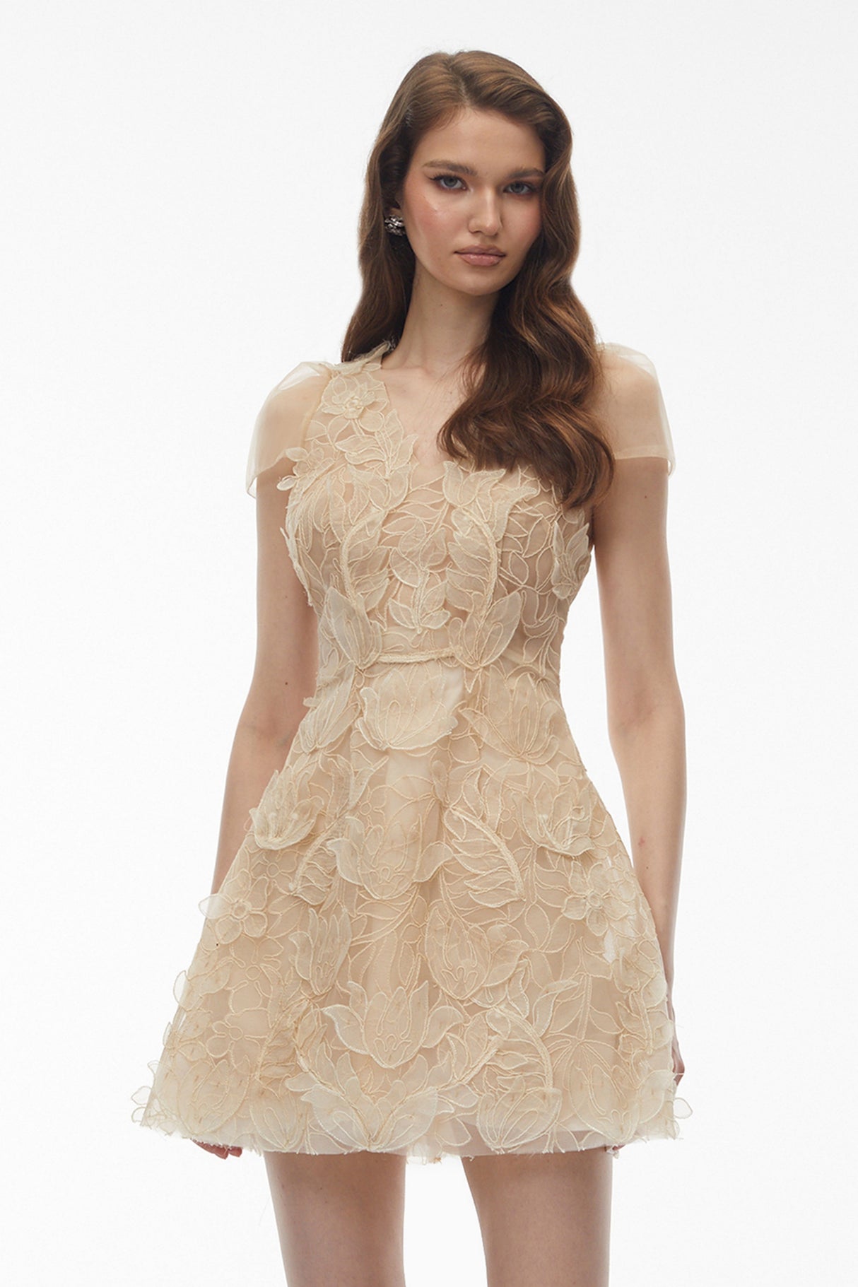 Aurohaya Kore Champagne 3D-Floral Embroidered Tulle Mini Dress