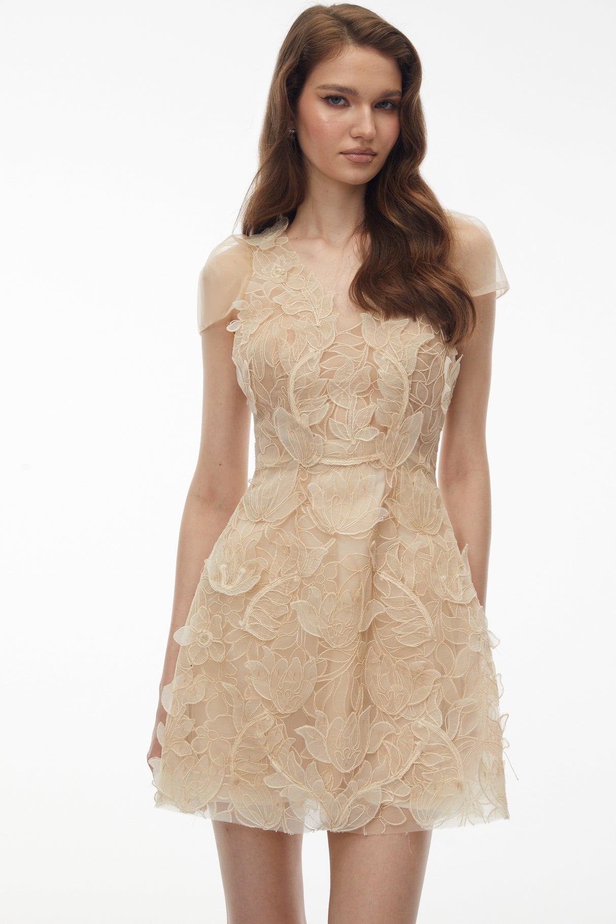 Aurohaya Kore Champagne 3D-Floral Embroidered Tulle Mini Dress