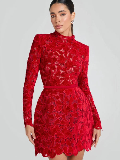 Aurohaya Violette Lace Long Sleeve Mini Dress