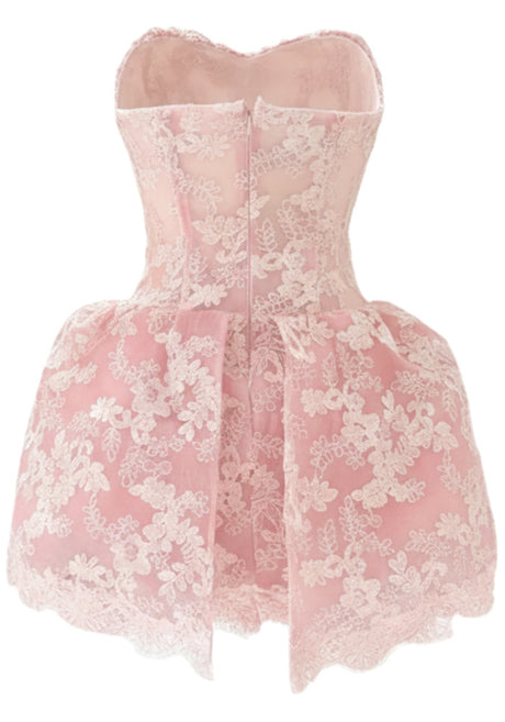Strapless Lace A Line Dress Pink