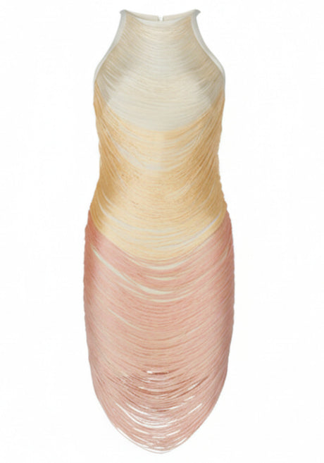 Tassel Detail Dress Gold Pink