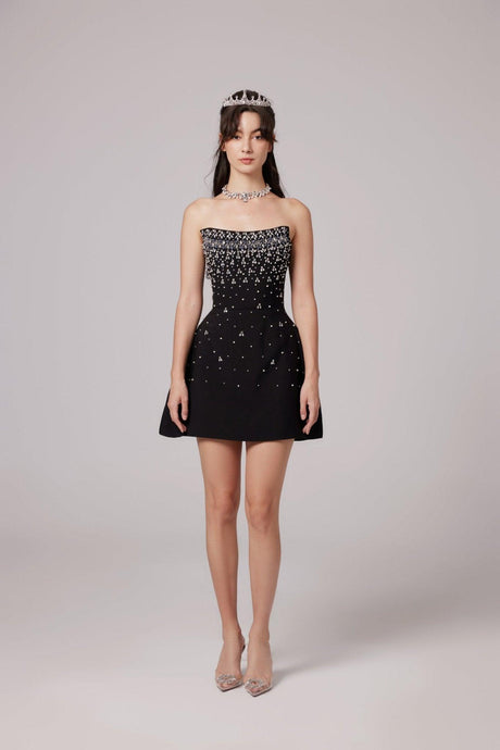 Aurohaya Melisande black embellished mini dress