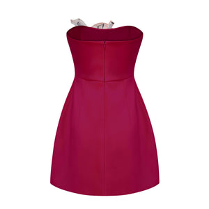 Aurohaya Automne Pink Floral Embroidered Mini Dress