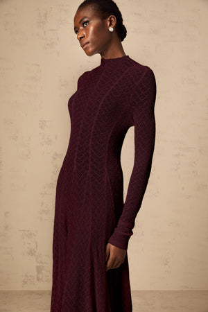 Aurohaya Athena wavy-pattern lace maxi dress in Red