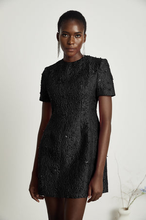 Aurohaya Celestia Floral-Appliqué Embellished Mini Dress in Black