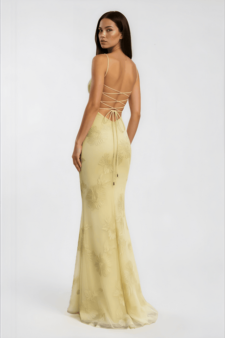 Aurohaya Émeline Floral Appliqué Corset Maxi Dress