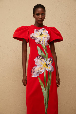 Aurohaya Irène Red Sequined Floral Embroidered Midi Dress