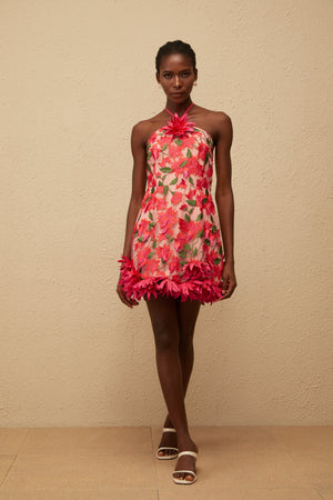 Aurohaya Doriane Red Halterneck Floral Embroidered Mini Dress