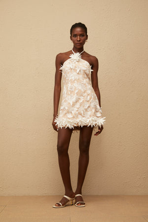 Aurohaya Doriane White Halterneck Floral Embroidered Mini Dress