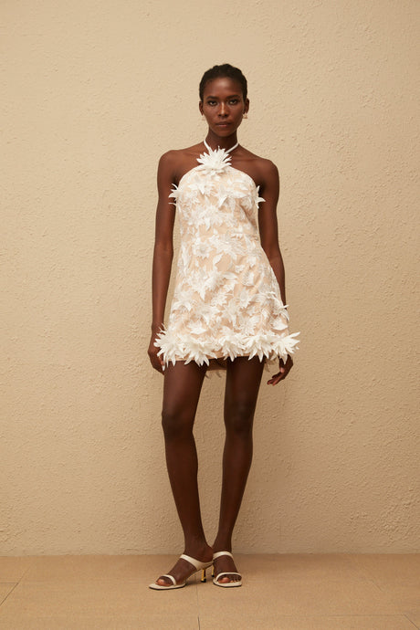 Aurohaya Doriane White Halterneck Floral Embroidered Mini Dress