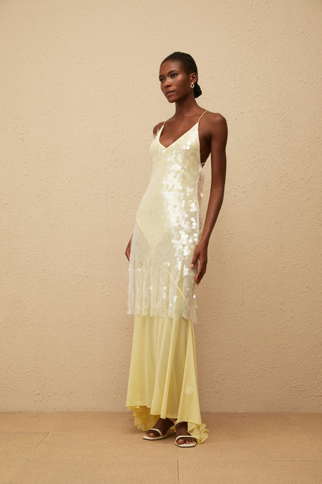 Aurohaya Joyau Yellow Sequin Mesh Maxi Dress