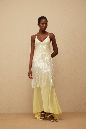 Aurohaya Joyau Yellow Sequin Mesh Maxi Dress