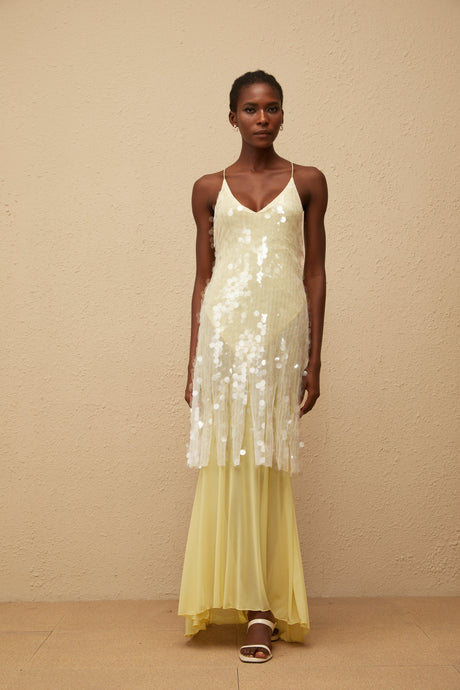 Aurohaya Joyau Yellow Sequin Mesh Maxi Dress